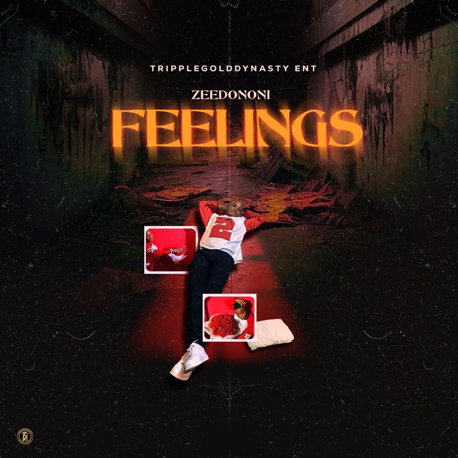 FEELINGS 